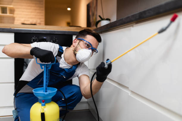 Best Ant Control Services  in Palermo, CA